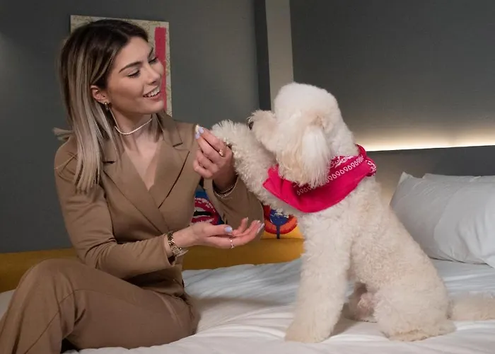 Arryvo מלון לצ'ה